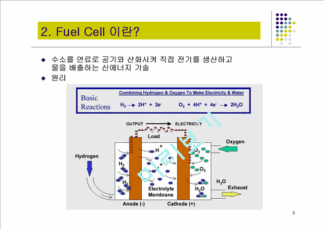 [자연과학] 연료전지   (9 )